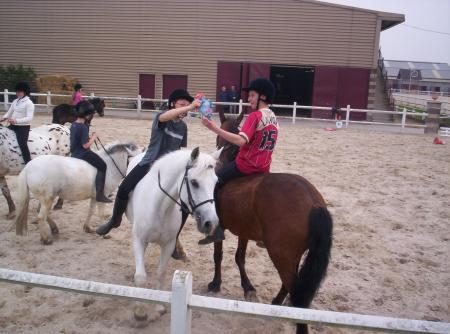 equitation