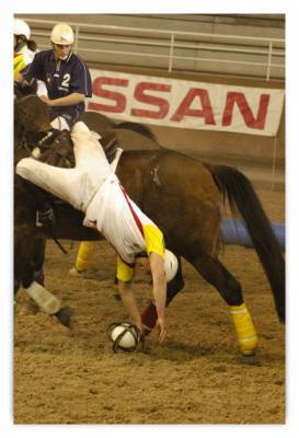 horse ball