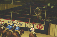 horse ball
