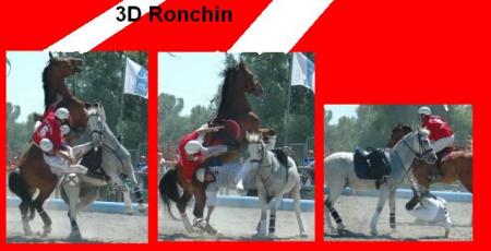 horse ball